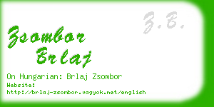 zsombor brlaj business card